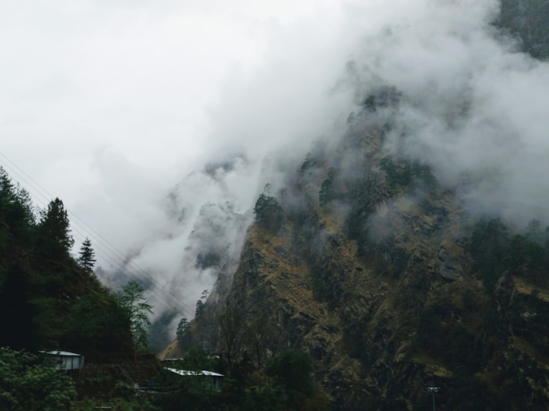 Dehradun to Auli taxi